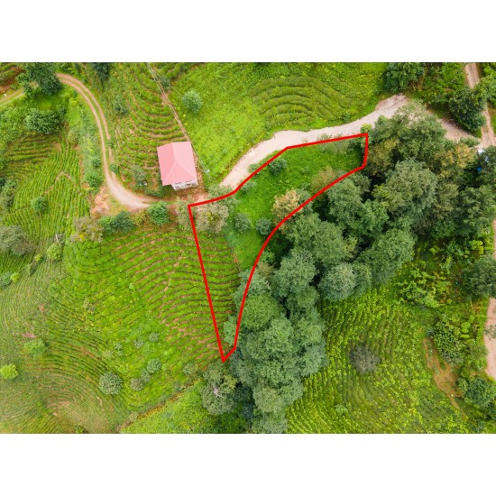 Rize, Merkez, Üzümlü, 223 Ada, 19 Parsel, 410.000 TL Rize, Merkez, Üzümlü, 223 Ada, 19 Parsel, 410.000 TL