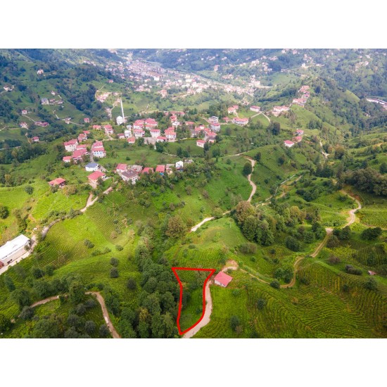 Rize, Merkez, Üzümlü, 223 Ada, 19 Parsel, 410.000 TL Rize, Merkez, Üzümlü, 223 Ada, 19 Parsel, 410.000 TL