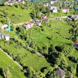 Rize, Pazar, Tütüncüler, 185 Ada, 10 Parsel