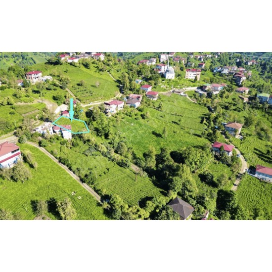 Rize, Pazar, Tütüncüler, 185 Ada, 10 Parsel Rize, Pazar, Tütüncüler, 185 Ada, 10 Parsel