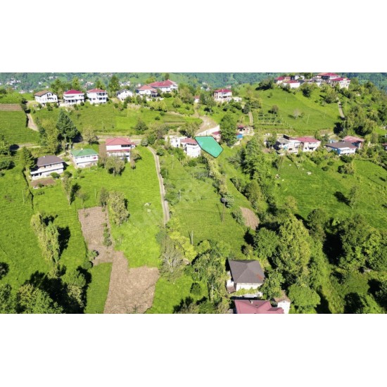 Rize, Pazar, Tütüncüler, 185 Ada, 10 Parsel Rize, Pazar, Tütüncüler, 185 Ada, 10 Parsel