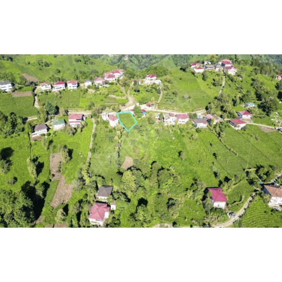 Rize, Pazar, Tütüncüler, 185 Ada, 10 Parsel Rize, Pazar, Tütüncüler, 185 Ada, 10 Parsel