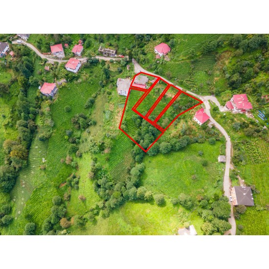 Artvin, Kemalpaşa, Osmaniye, 207 Ada, 16 Parsel, 690.000 TL Artvin, Kemalpaşa, Osmaniye, 207 Ada, 16 Parsel, 690.000 TL