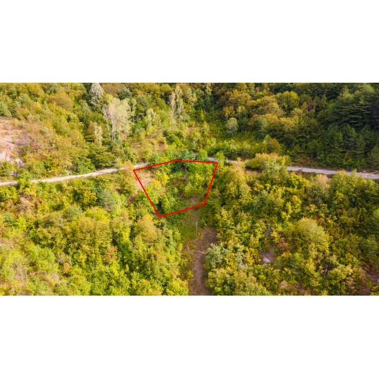 Bartın, Ulus, Çerde, 113 Ada, 1 Parsel, 195.000 TL Bartın, Ulus, Çerde, 113 Ada, 1 Parsel, 195.000 TL