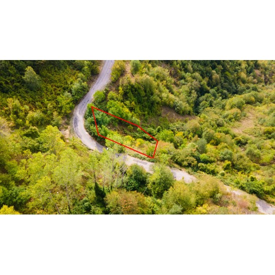 Bartın, Ulus, Çerde, 113 Ada, 1 Parsel, 195.000 TL Bartın, Ulus, Çerde, 113 Ada, 1 Parsel, 195.000 TL