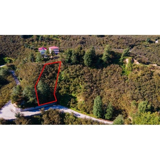 Giresun, Espiye, Kaşdibi, 101 Ada, 140 Parsel