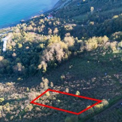 Giresun, Eynesil, Boztepe, 329 Ada, 116 Parsel, 1.390.000 TL