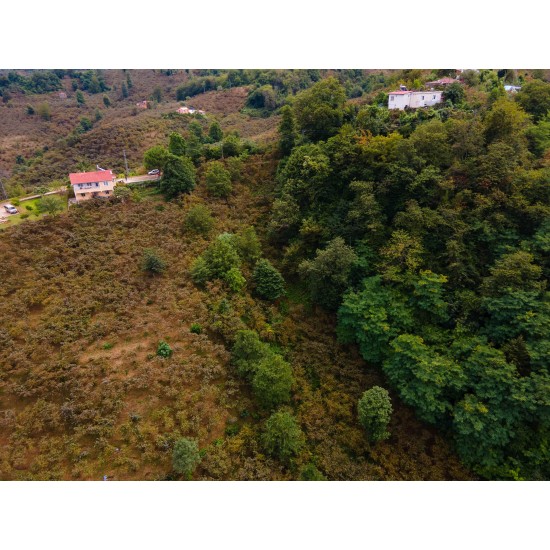 Giresun, Keşap, Fındıklı, 103 Ada, 11 Parsel Giresun, Keşap, Fındıklı, 103 Ada, 11 Parsel
