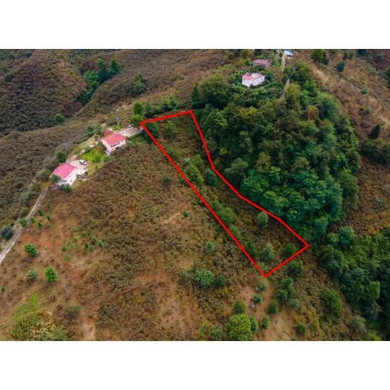Giresun, Keşap, Fındıklı, 103 Ada, 11 Parsel Giresun, Keşap, Fındıklı, 103 Ada, 11 Parsel