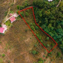 Giresun, Keşap, Fındıklı, 103 Ada, 11 Parsel