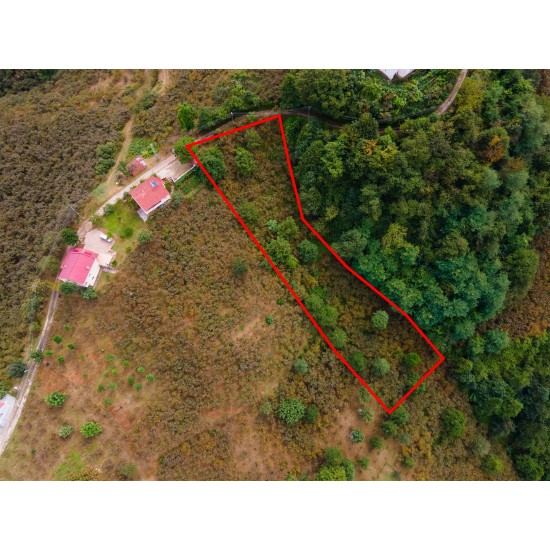 Giresun, Keşap, Fındıklı, 103 Ada, 11 Parsel Giresun, Keşap, Fındıklı, 103 Ada, 11 Parsel