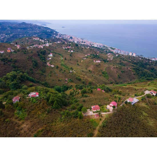 Giresun, Keşap, Fındıklı, 103 Ada, 11 Parsel Giresun, Keşap, Fındıklı, 103 Ada, 11 Parsel