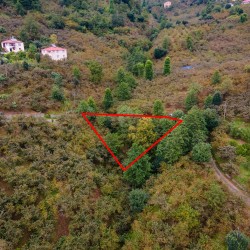 Giresun, Keşap, Yolbaşı, 120 Ada, 2 Parsel