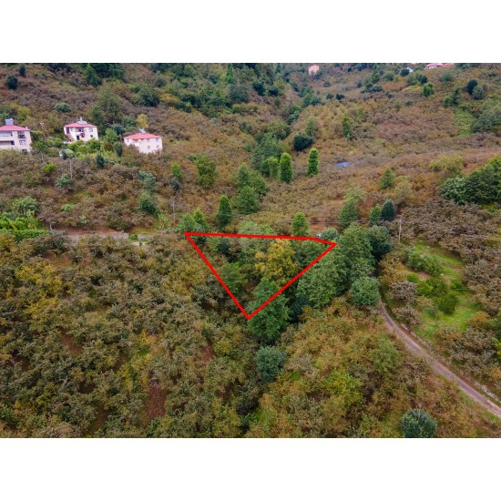 Giresun, Keşap, Yolbaşı, 120 Ada, 2 Parsel Giresun, Keşap, Yolbaşı, 120 Ada, 2 Parsel