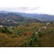 Giresun, Keşap, Yolbaşı, 120 Ada, 2 Parsel Giresun, Keşap, Yolbaşı, 120 Ada, 2 Parsel