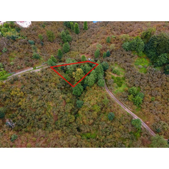 Giresun, Keşap, Yolbaşı, 120 Ada, 2 Parsel Giresun, Keşap, Yolbaşı, 120 Ada, 2 Parsel