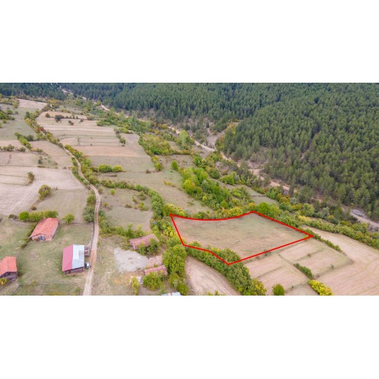 Kastamonu, Araç, Yukarıikizören, 115 Ada, 4 Parsel