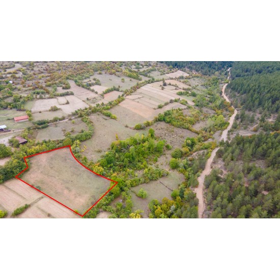 Kastamonu, Araç, Yukarıikizören, 115 Ada, 4 Parsel