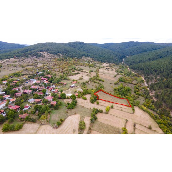 Kastamonu, Araç, Yukarıikizören, 115 Ada, 4 Parsel