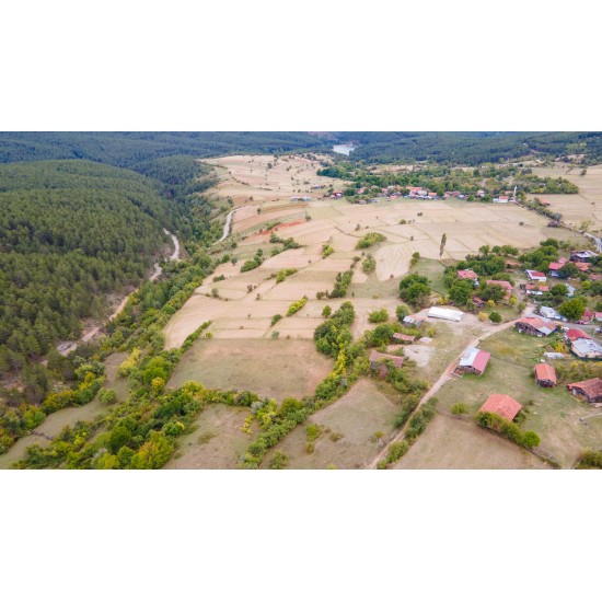 Kastamonu, Araç, Yukarıikizören, 115 Ada, 4 Parsel