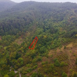 Kastamonu, Doğanyurt, Hoca, 159 Ada, 17 Parsel Kastamonu, Doğanyurt, Hoca, 159 Ada, 17 Parsel