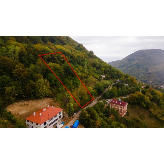 Kastamonu, İnebolu, Dikili, 135 Ada, 16 Parsel, 990.000 TL Kastamonu, İnebolu, Dikili, 135 Ada, 16 Parsel, 990.000 TL