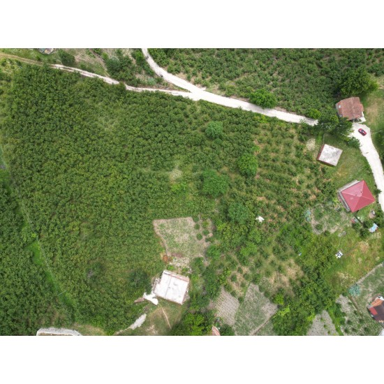 Ordu, Çatalpınar, Akkaya, 192 Ada, 20 Parsel, 1.000.000 TL