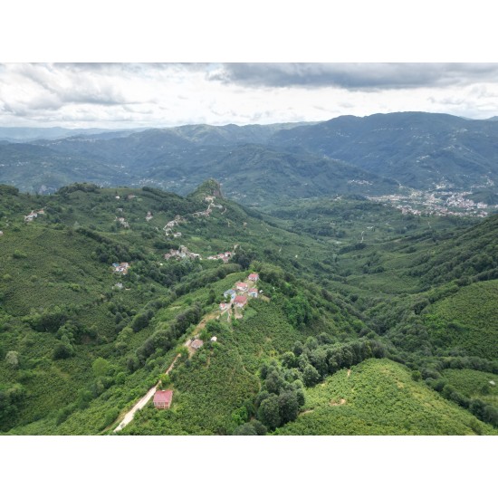 Ordu, Çatalpınar, Akkaya, 192 Ada, 20 Parsel, 1.000.000 TL