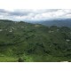 Ordu, Çatalpınar, Akkaya, 192 Ada, 20 Parsel, 1.000.000 TL