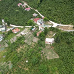 Ordu, Çatalpınar, Akkaya, 192 Ada, 20 Parsel, 1.000.000 TL