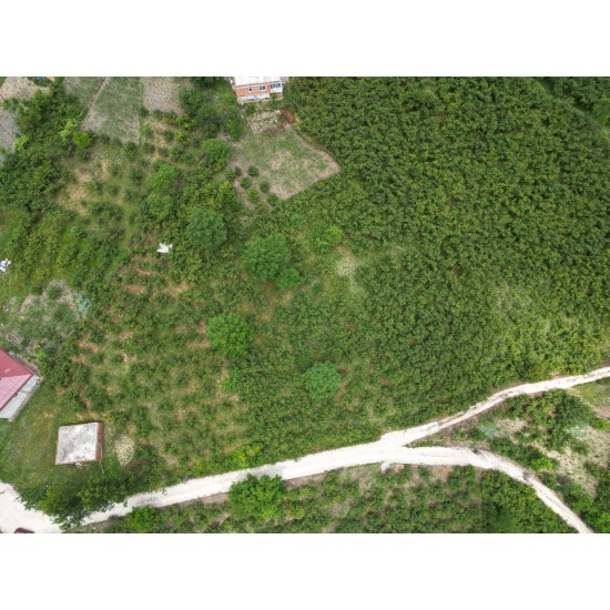 Ordu, Çatalpınar, Akkaya, 192 Ada, 20 Parsel, 1.000.000 TL