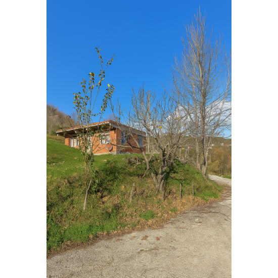 Ordu, Çatalpınar, Akkaya, 192 Ada, 21 Parsel
