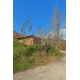 Ordu, Çatalpınar, Akkaya, 192 Ada, 21 Parsel