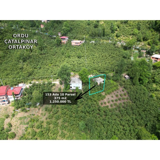 Ordu, Çatalpınar, Ortaköy, 153 Ada, 10 Parsel, 950.000 TL Ordu, Çatalpınar, Ortaköy, 153 Ada, 10 Parsel, 950.000 TL