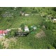 Ordu, Çatalpınar, Ortaköy, 153 Ada, 10 Parsel, 950.000 TL Ordu, Çatalpınar, Ortaköy, 153 Ada, 10 Parsel, 950.000 TL