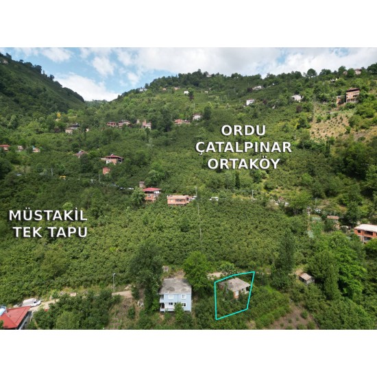 Ordu, Çatalpınar, Ortaköy, 153 Ada, 10 Parsel, 950.000 TL Ordu, Çatalpınar, Ortaköy, 153 Ada, 10 Parsel, 950.000 TL
