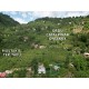 Ordu, Çatalpınar, Ortaköy, 153 Ada, 10 Parsel, 950.000 TL Ordu, Çatalpınar, Ortaköy, 153 Ada, 10 Parsel, 950.000 TL
