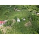 Ordu, Çatalpınar, Ortaköy, 153 Ada, 9 Parsel, 500.000 TL Ordu, Çatalpınar, Ortaköy, 153 Ada, 9 Parsel, 500.000 TL