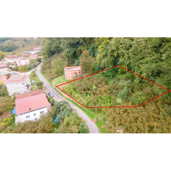 Ordu, Fatsa, Kulak, 102 Ada, 7 Parsel