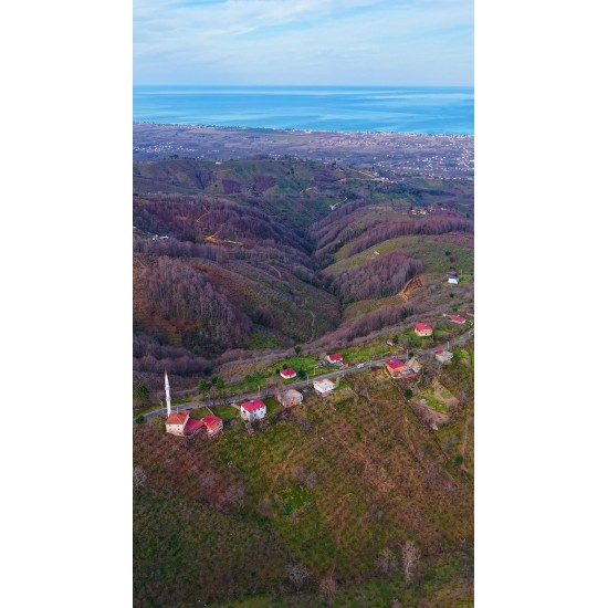 Ordu, İkizce, Dumantepe, 1110 Ada, 8 Parsel Ordu, İkizce, Dumantepe, 1110 Ada, 8 Parsel