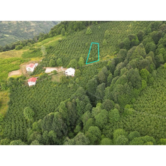 Ordu, Ünye, Yenikent/Gaziler, 420 Ada, 40 Parsel