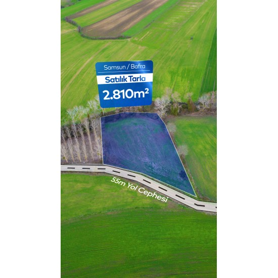Samsun, Bafra, Eldavut, 135 Ada, 2 Parsel Samsun, Bafra, Eldavut, 135 Ada, 2 Parsel