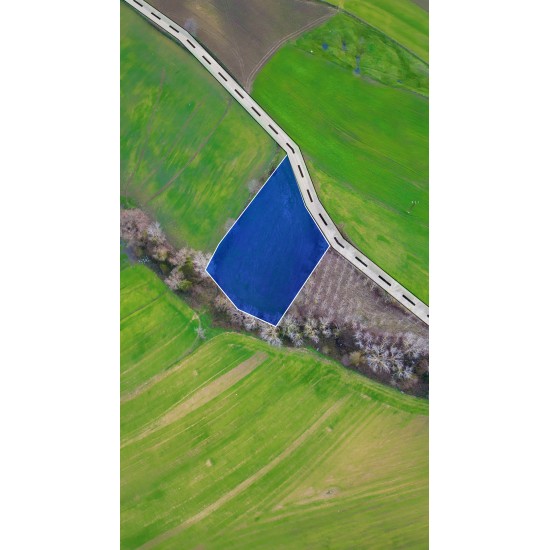 Samsun, Bafra, Eldavut, 135 Ada, 2 Parsel Samsun, Bafra, Eldavut, 135 Ada, 2 Parsel