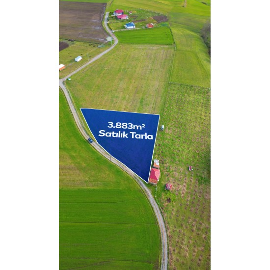 Samsun, Bafra, Lengerli, 109 Ada, 2 Parsel, 2.600.000 TL Samsun, Bafra, Lengerli, 109 Ada, 2 Parsel, 2.600.000 TL