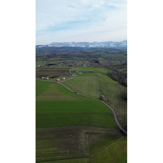 Samsun, Bafra, Lengerli, 109 Ada, 2 Parsel, 2.600.000 TL Samsun, Bafra, Lengerli, 109 Ada, 2 Parsel, 2.600.000 TL