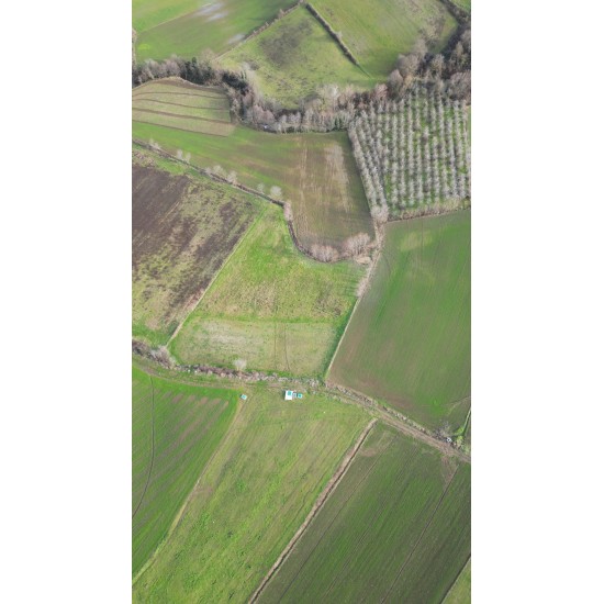 Samsun, Bafra, Lengerli, 116 Ada, 69 Parsel, 2.600.000 TL Samsun, Bafra, Lengerli, 116 Ada, 69 Parsel, 2.600.000 TL