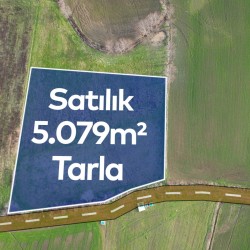Samsun, Bafra, Lengerli, 116 Ada, 69 Parsel, 2.600.000 TL