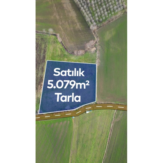 Samsun, Bafra, Lengerli, 116 Ada, 69 Parsel, 2.600.000 TL Samsun, Bafra, Lengerli, 116 Ada, 69 Parsel, 2.600.000 TL