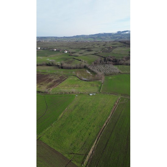 Samsun, Bafra, Lengerli, 116 Ada, 69 Parsel, 2.600.000 TL Samsun, Bafra, Lengerli, 116 Ada, 69 Parsel, 2.600.000 TL