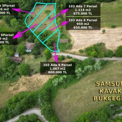 Samsun, Kavak, Bükceğiz, 103 Ada, 7 Parsel, 500.000 TL Samsun, Kavak, Bükceğiz, 103 Ada, 7 Parsel, 500.000 TL
